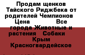 Продам щенков Тайского Риджбека от родителей Чемпионов › Цена ­ 30 000 - Все города Животные и растения » Собаки   . Крым,Красногвардейское